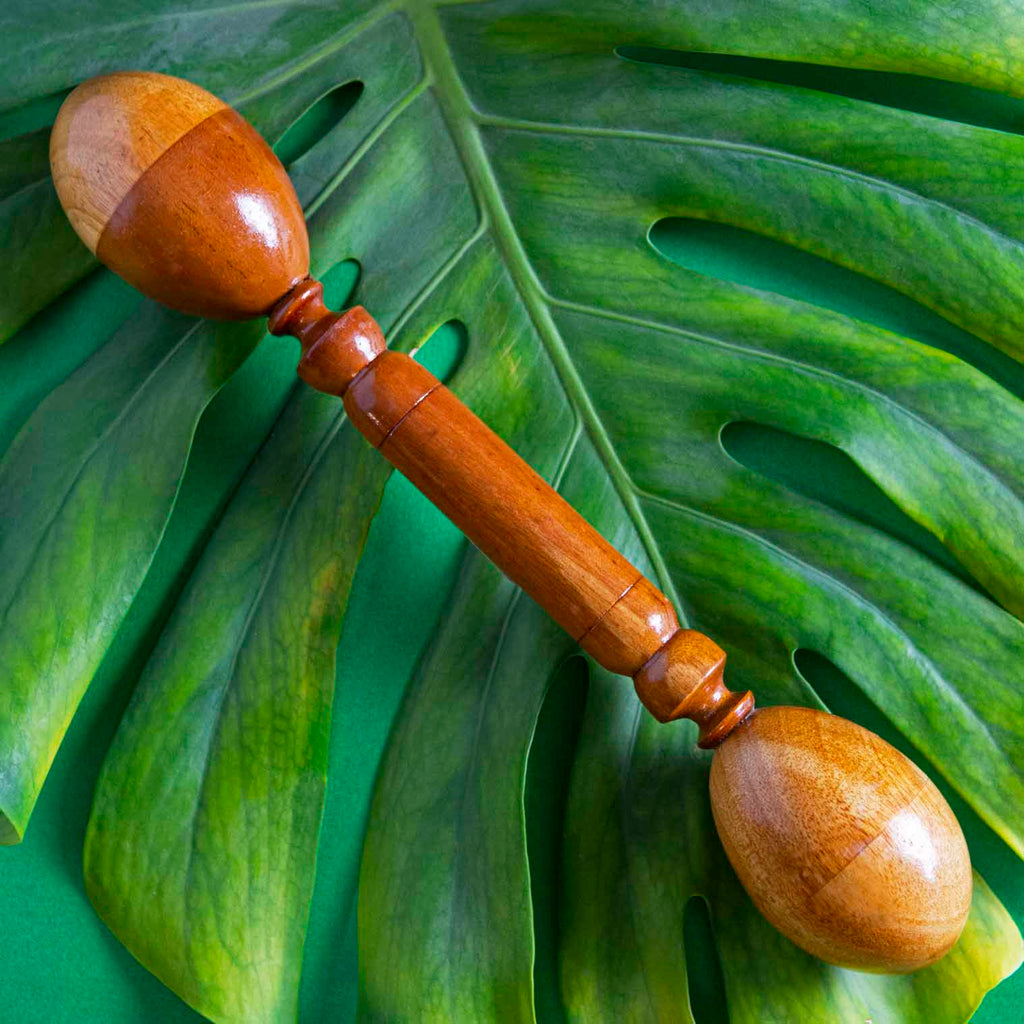Double-Headed Egg Stick Shaker