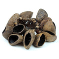 Wrist & Ankle Seed Shaker