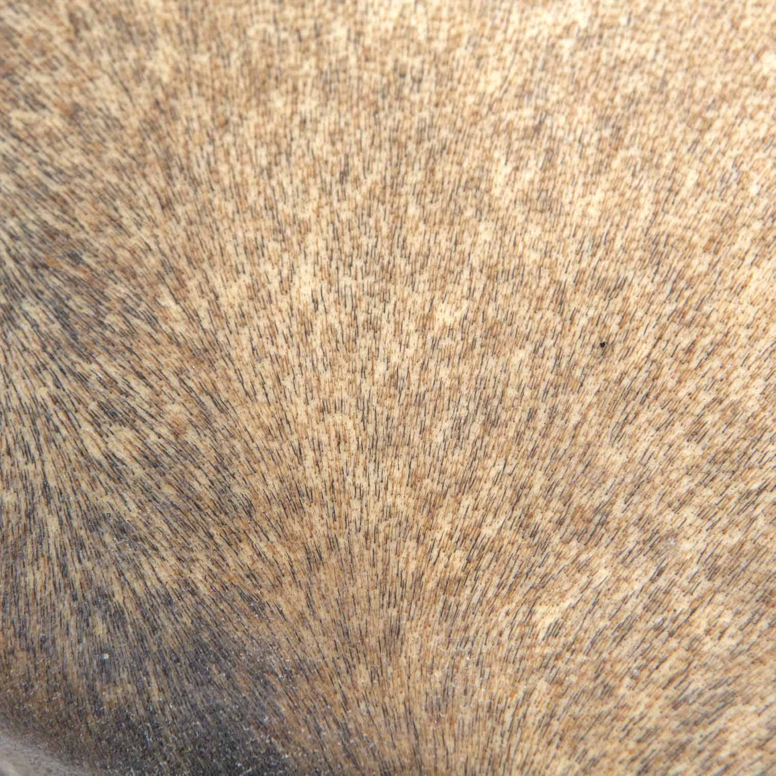 Raw Goat Skin Shamanic Drum 30cm-Siesta Crafts