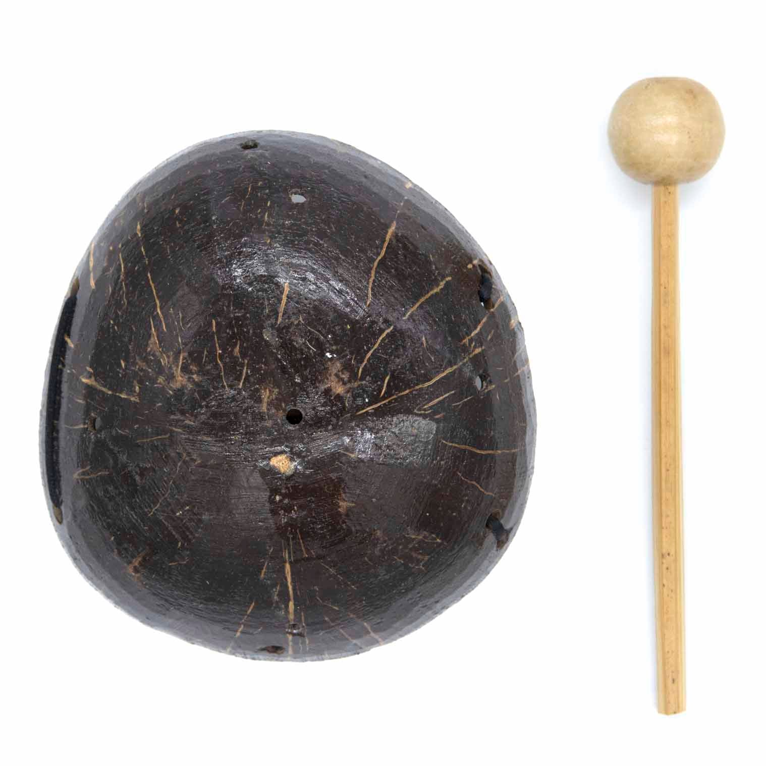 Coconut Seed Knocker-Siesta Crafts